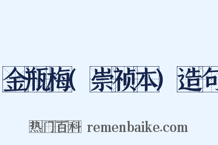 金瓶梅(崇祯本)造句是什么意思的图片